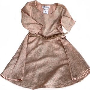 SOLD Bonnie Jean Shimmering Rose LS Dress - sz5 (Girls)